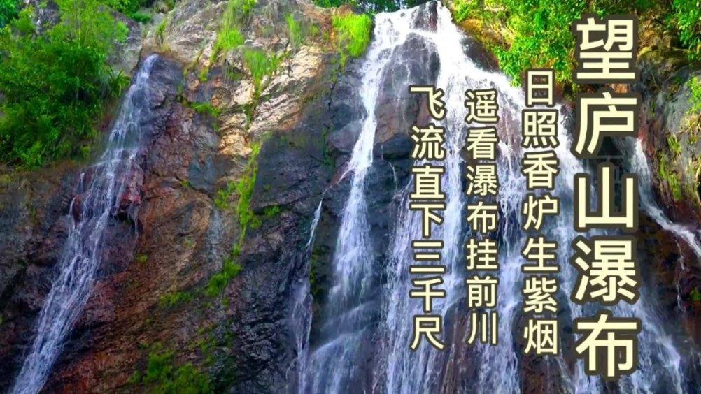 逗小猴开心系列169